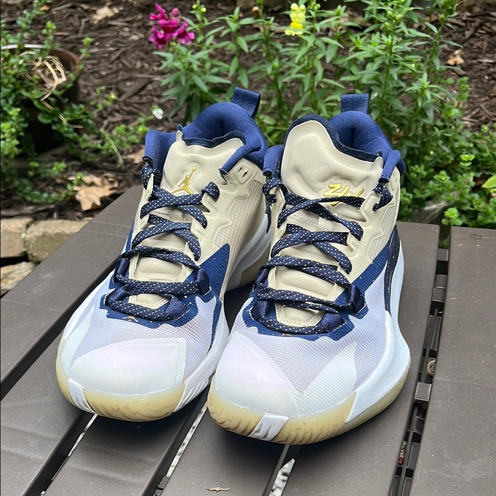 Jordan Zion 1